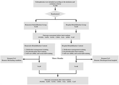 The efficacy of homestyle rehabilitation on negative symptoms in chronic schizophrenia: A randomized controlled trial